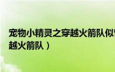 宠物小精灵之穿越火箭队似曾相识的声音（宠物小精灵之穿越火箭队）