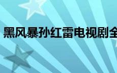 黑风暴孙红雷电视剧全集在线观看（黑风暴）