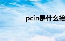 pcin是什么接口（pcinlife）