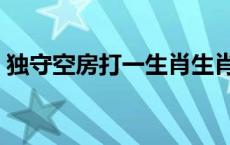 独守空房打一生肖生肖（独守空房打一生肖）