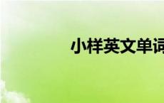 小样英文单词（小样英文）
