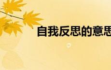 自我反思的意思（反思的意思）