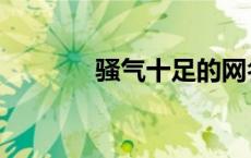 骚气十足的网名（风骚网名）
