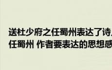 送杜少府之任蜀州表达了诗人怎样的思想感情（送杜少府之任蜀州 作者要表达的思想感情）