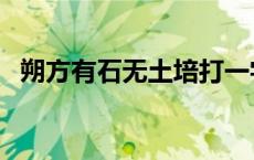 朔方有石无土培打一字（朔方有石无土培）