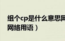组个cp是什么意思网络用语（cp是什么意思网络用语）