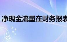 净现金流量在财务报表中哪里（净现金流量）
