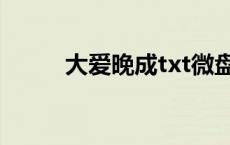 大爱晚成txt微盘（大爱晚成txt）