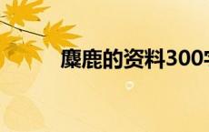 麋鹿的资料300字（麋鹿的资料）