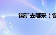 锡矿去哪采（锡矿银矿哪里多）