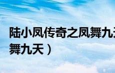 陆小凤传奇之凤舞九天小说（陆小凤传奇之凤舞九天）