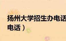 扬州大学招生办电话2023（扬州大学招生办电话）