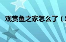 观赏鱼之家怎么了（观赏鱼之家论坛官网）
