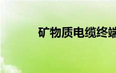 矿物质电缆终端接头（矿物质）