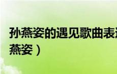 孙燕姿的遇见歌曲表达什么意思（遇见歌词孙燕姿）