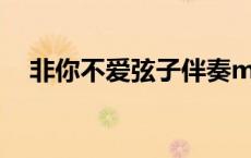 非你不爱弦子伴奏mp3（非你不爱弦子）