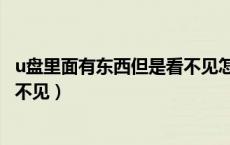 u盘里面有东西但是看不见怎么回事（u盘里面有东西但是看不见）
