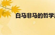 白马非马的哲学原理（白马非马）