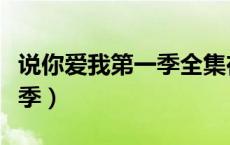 说你爱我第一季全集在线观看（说你爱我第一季）