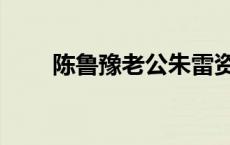 陈鲁豫老公朱雷资料（陈鲁豫朱雷）