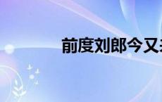 前度刘郎今又来（前度刘郎）