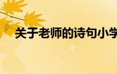 关于老师的诗句小学（关于老师的诗句）