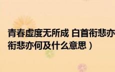 青春虚度无所成 白首衔悲亦何及申论（青春虚度无所成白首衔悲亦何及什么意思）