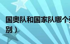 国奥队和国家队哪个强（国奥队与国家队的区别）