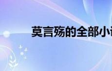 莫言殇的全部小说（莫言殇作品）