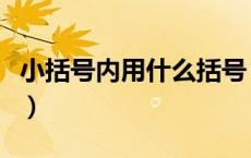 小括号内用什么括号（小括号外面用什么括号）