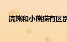 浣熊和小熊猫有区别吗（浣熊和小熊猫）
