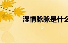 湿情脉脉是什么意思（湿情gl）