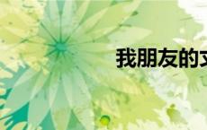 我朋友的丈夫中文版