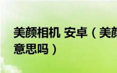 美颜相机 安卓（美颜相机安卓版是电脑版的意思吗）