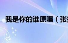 我是你的谁原唱（张振宇唱的我是你的谁）