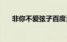 非你不爱弦子百度云（非你不爱弦子）