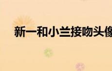 新一和小兰接吻头像（新一和小兰接吻）