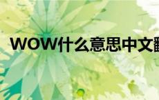 WOW什么意思中文翻译（wow什么意思）