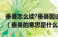 垂蔓怎么读?垂蔓因该读(man)还是(wan)呢?（垂蔓的意思是什么）