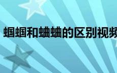 蝈蝈和蛐蛐的区别视频（蝈蝈和蛐蛐的区别）