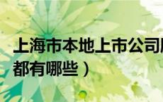 上海市本地上市公司股票一览（上海的本地股都有哪些）