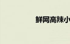 鲜网高辣小说合集下载