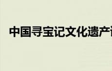 中国寻宝记文化遗产读后感（中国寻宝记）