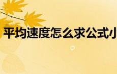 平均速度怎么求公式小学（平均速度怎么求）