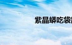 紫晶蟒吃袋鼠（紫晶蟒）