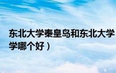 东北大学秦皇岛和东北大学（东北大学秦皇岛分校和燕山大学哪个好）