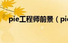 pie工程师前景（pie工程师是做什么的）