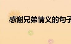 感谢兄弟情义的句子（兄弟情义的句子）