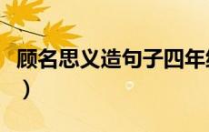 顾名思义造句子四年级上册（顾名思义造句子）