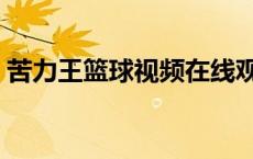苦力王篮球视频在线观看（苦力王篮球视频）